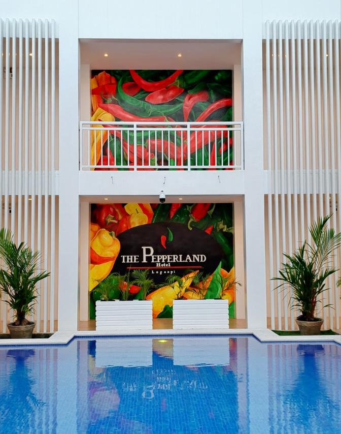 Pool area landscape